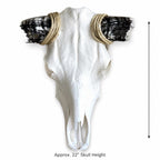 Longhorn Skull Wall Decor, 47” Wide – Black & White Horns, Western Wall Decor