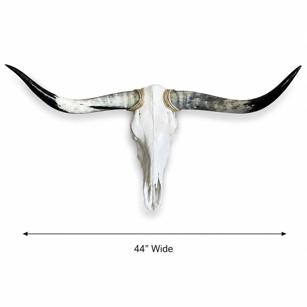 Longhorn Skull Wall Decor, 44” Wide – Sweeping Black Horns, Western Wall Decor