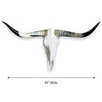 Longhorn Skull Wall Decor, 44” Wide – Sweeping Black Horns, Western Wall Decor