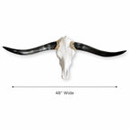 Longhorn Skull Wall Decor, 48” Wide – Dark Sweeping Horns, Western Wall Decor