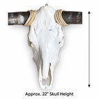 Longhorn Skull Wall Decor, 41” Wide – Natural Dark Horns, Rustic Ranch Decor