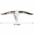 Longhorn Skull Wall Decor, 41” Wide – Natural Dark Horns, Rustic Ranch Decor