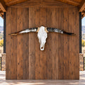 Longhorn Skull Wall Decor, 41” Wide – Natural Dark Horns, Rustic Ranch Decor