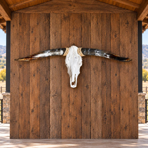 Longhorn Skull Wall Decor, 41” Wide – Natural Dark Horns, Rustic Ranch Decor