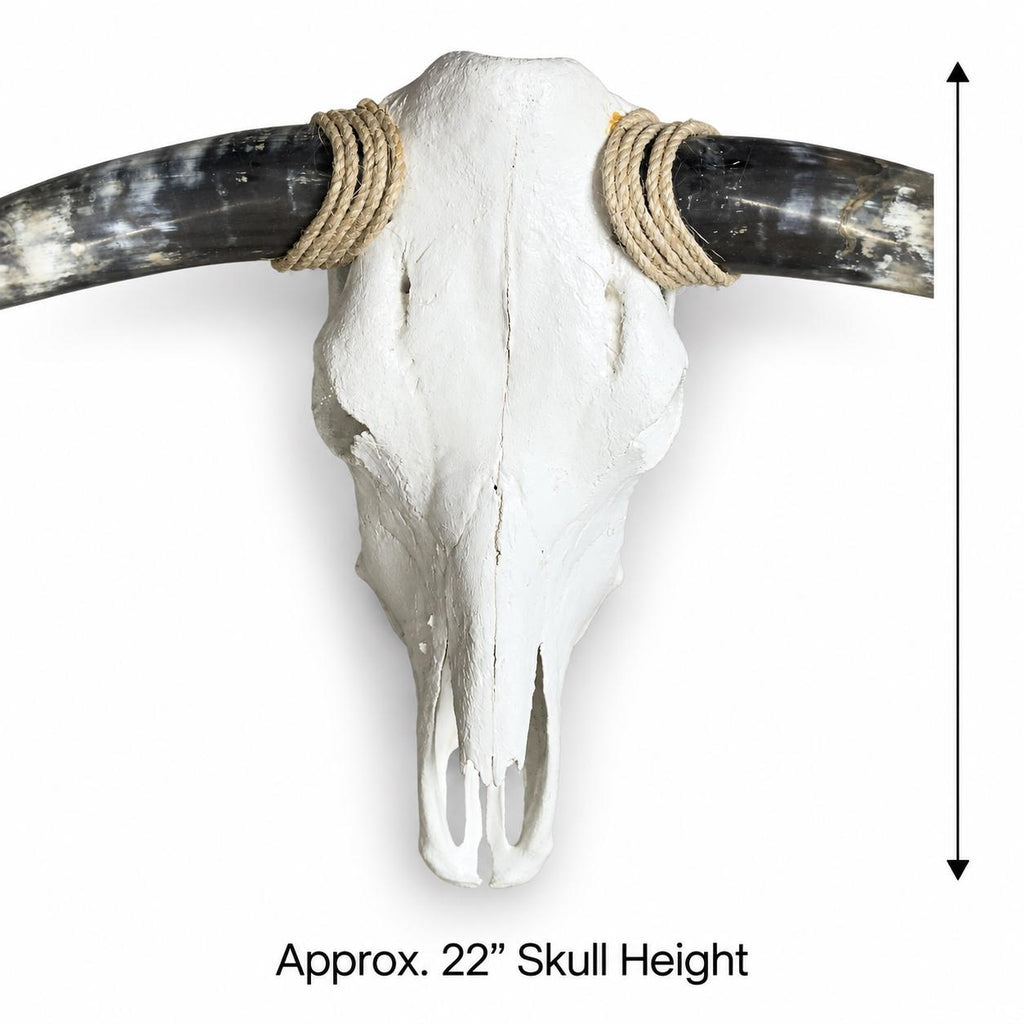 Longhorn Skull Wall Decor, 46” Wide – Natural Patterned Horns, Rustic Ranch Decor