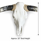 Longhorn Skull Wall Decor, 46” Wide – Natural Patterned Horns, Rustic Ranch Decor