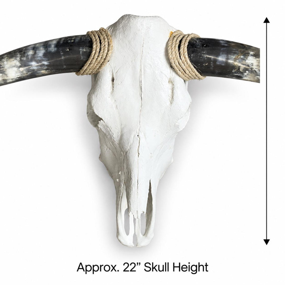 Longhorn Skull Wall Decor, 46” Wide – Natural Patterned Horns, Rustic Ranch Decor