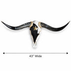 Longhorn Skull, 43” Wide – Black & White Cowhide with Western Star