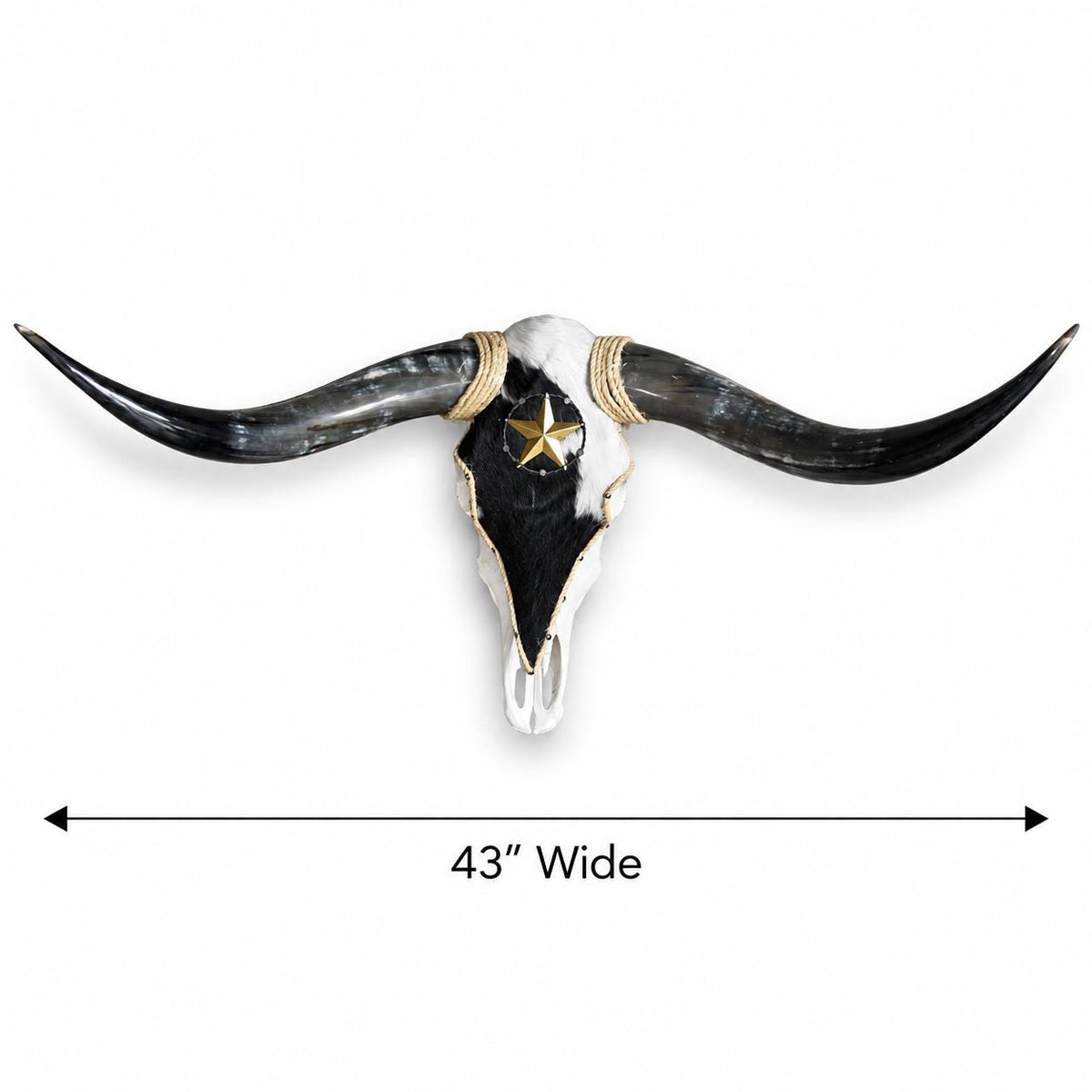 Longhorn Skull, 43” Wide – Black & White Cowhide with Western Star