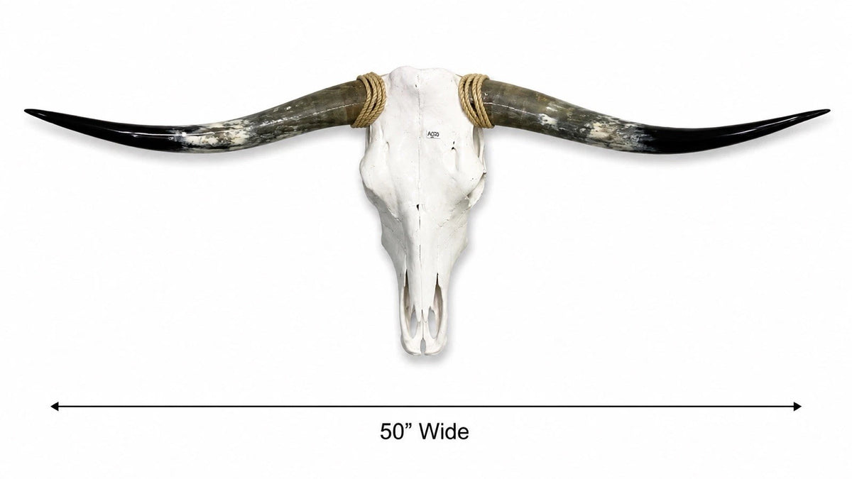 Longhorn Skull, 50” Wide – Western Home Wall Decor